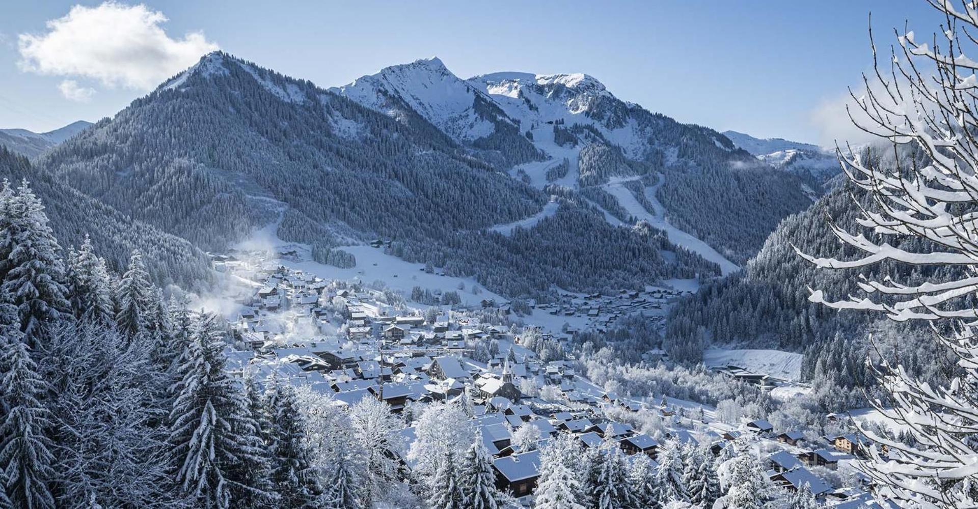 Savoya Lodges Chatel Exterior photo